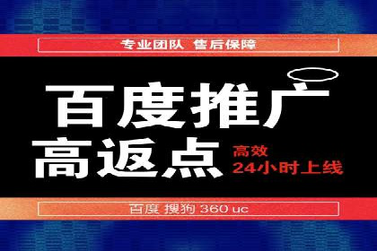 百度推广全攻略：成功案例剖析